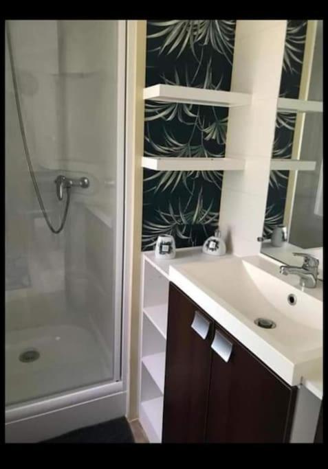 Mobil Home 4-6 Personnes Bord De Mer Argeles Sur Mer Camping Equinoxe 外观 照片
